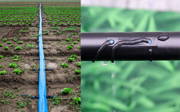 16mm*0.3mm Thickness inlaid patch drip irrigation tape - Image 2